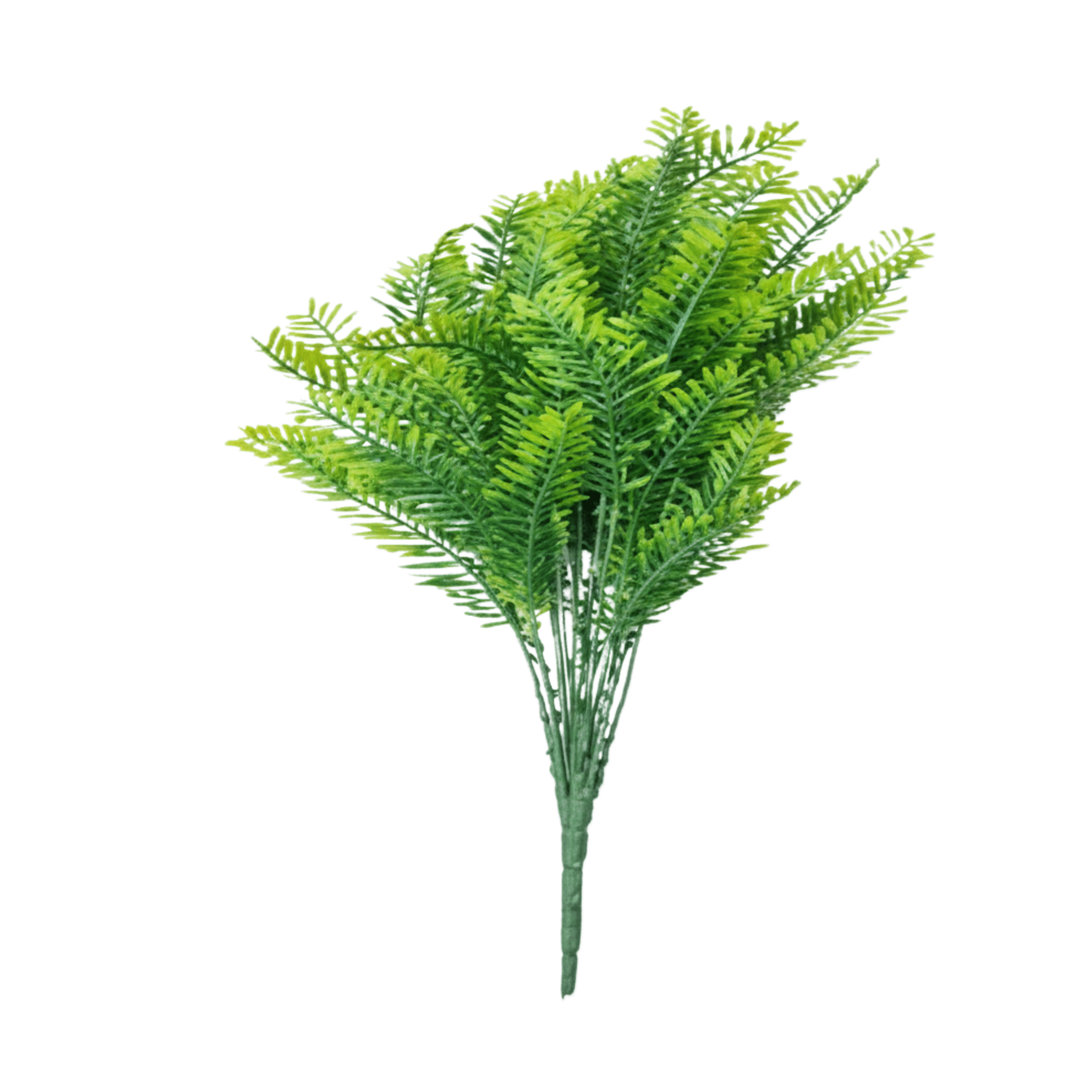 DAWN REDWOOD 50CM vines and flowers