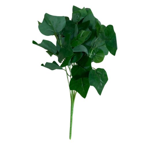 English ivy vine