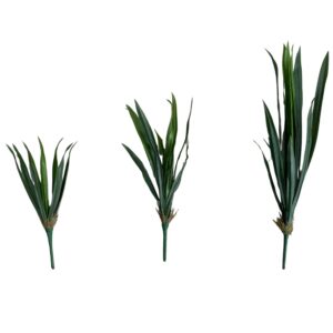 pandan