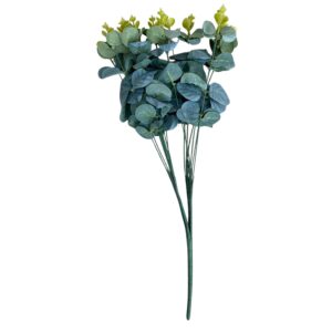 Silver Dollar Eucalyptus