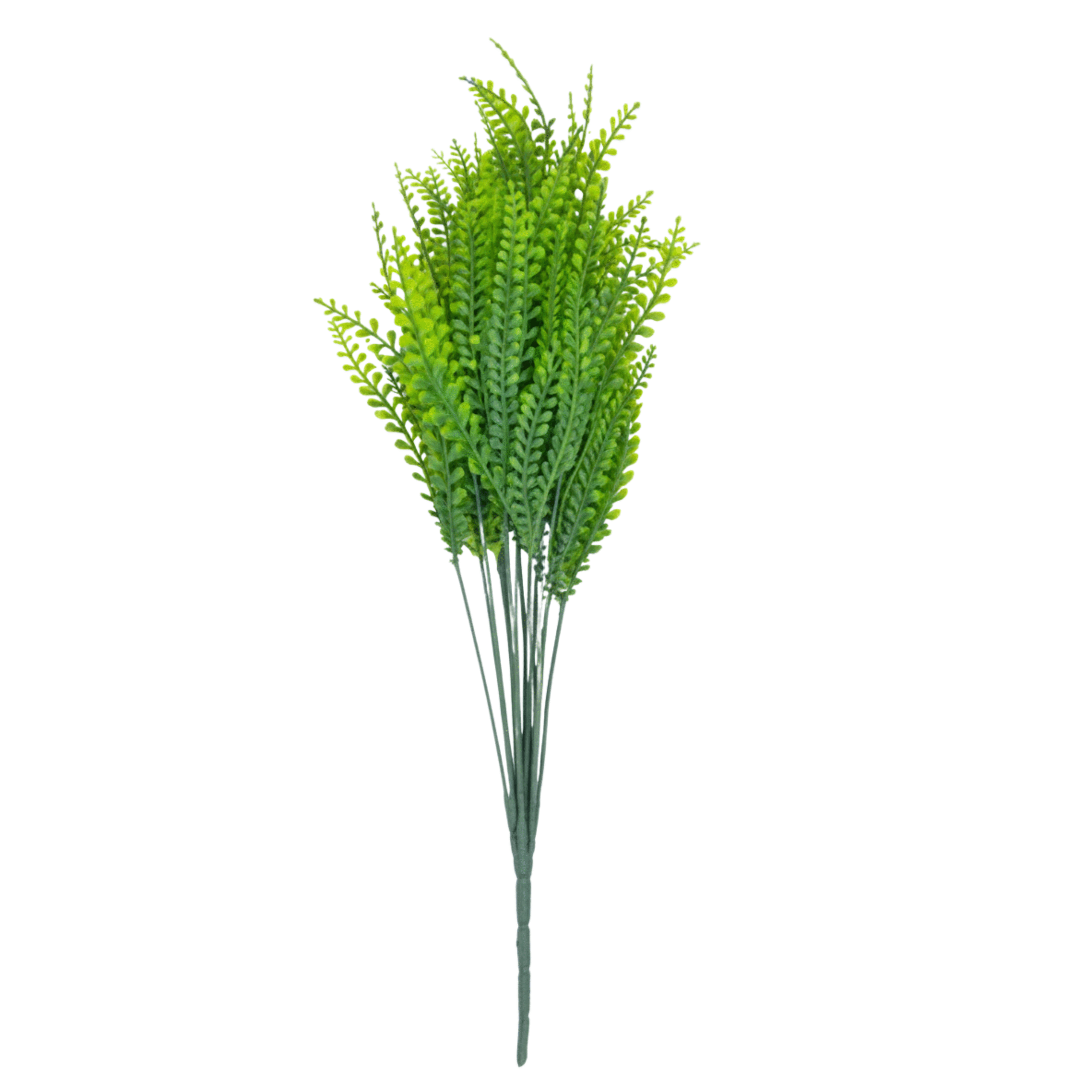 bethelmendels silver wattle 65cm vines and flowers