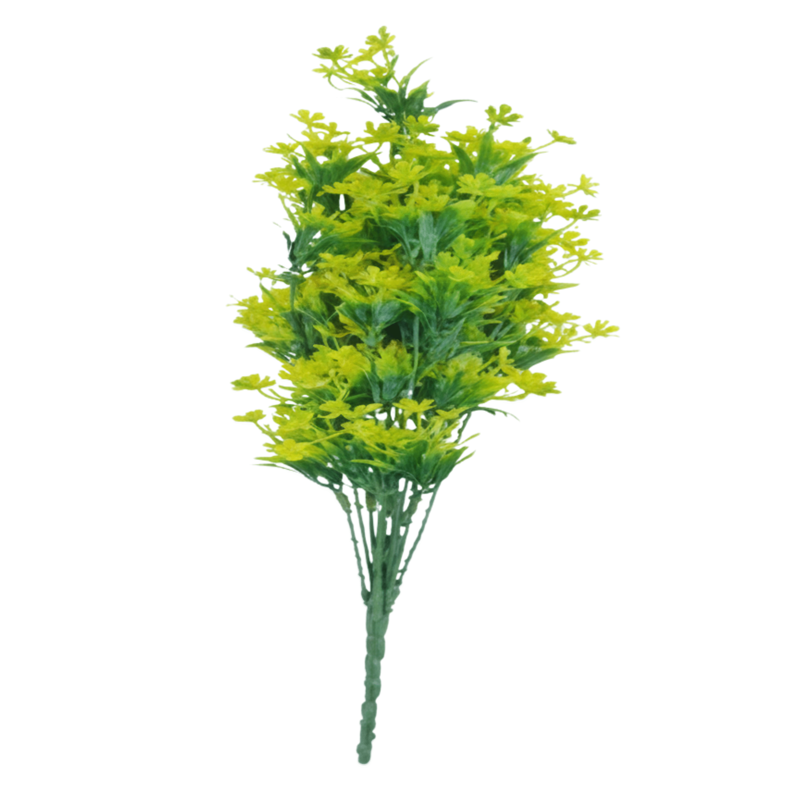 spurges vine 55cm vines and flowers