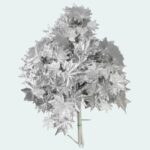 silver color artificial maple leafflower (LS-52)