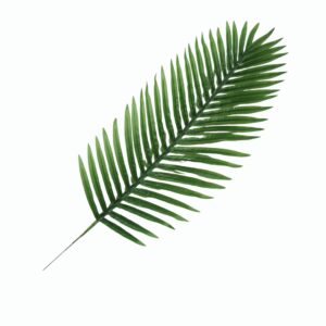 85cm artificial palm leaf