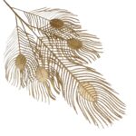 GOLDEN PHOENIX TAIL FLOWER