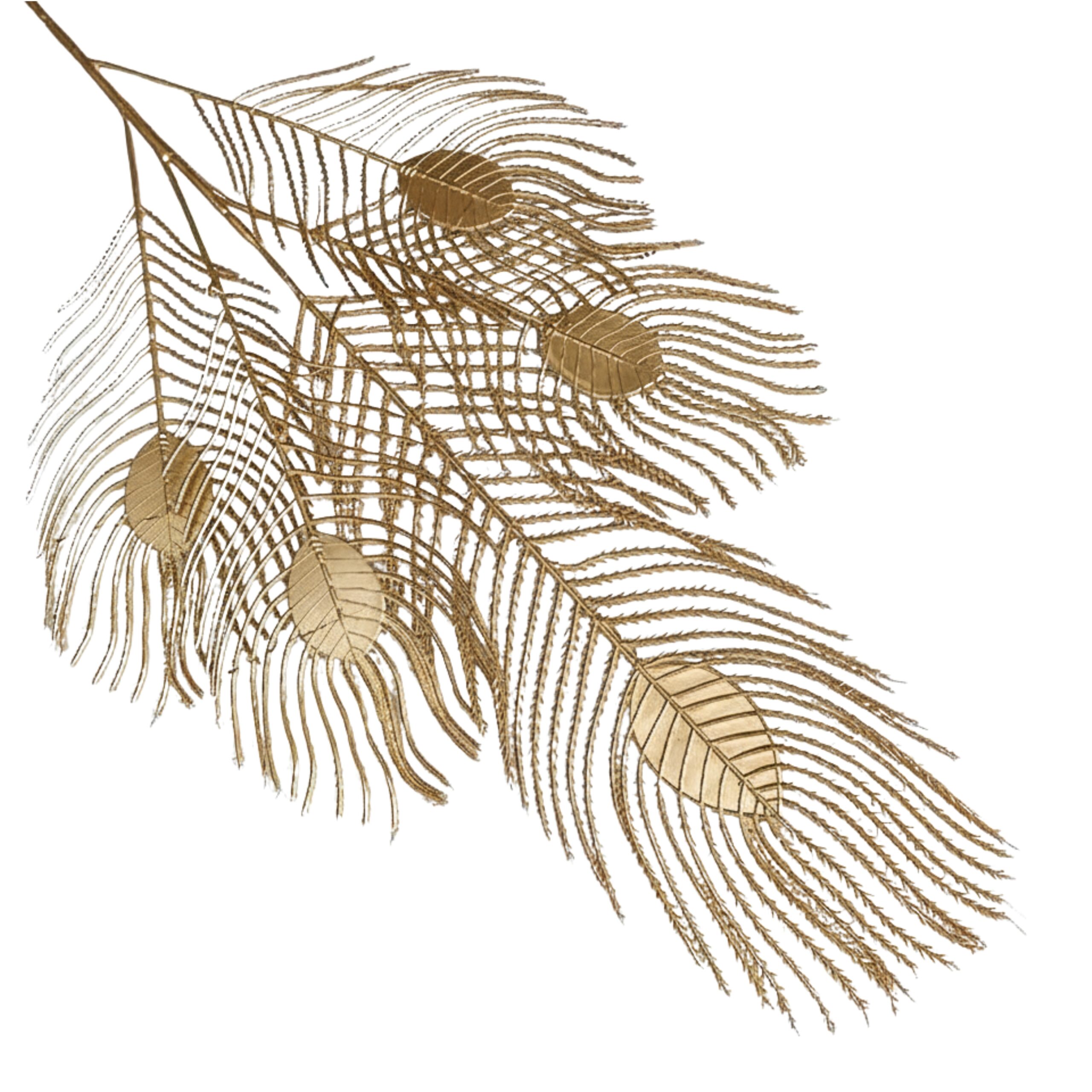 4 GOLDEN PHOENIX TAIL FLOWER