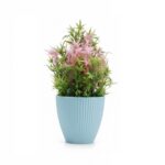 Maples vines in Oval Ceramic Vase | 34cm Tabletop decorations