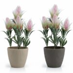 vines potted in oval table top vases
