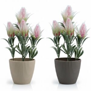 vines potted in oval table top vases
