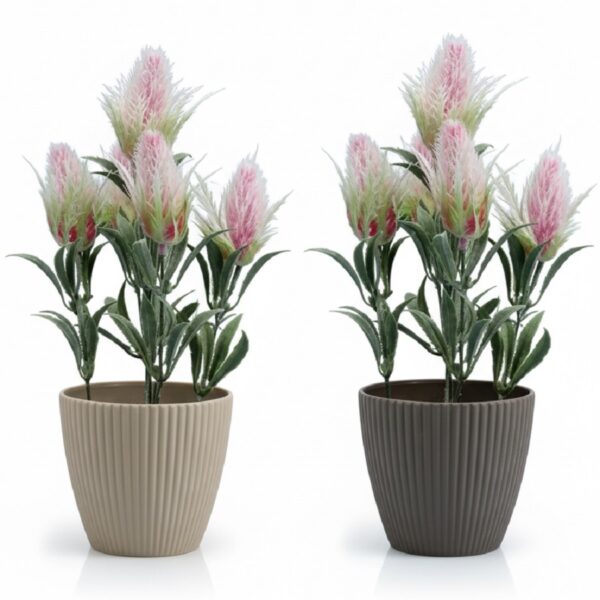vines potted in oval table top vases