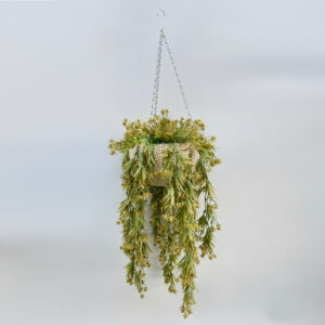 Maples Dropping flowers on Hanging Basket (Big) | 100cm artificial trailing plant