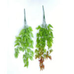 Realistic Trailing Artificial Flowers | Indoor Plant Décor (LJY-42)