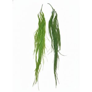 artificial droppings