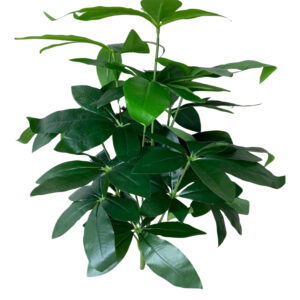 Compact Artificial Mini Plant for Home & Office Setup