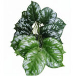 Artificial Unpotted Mini Greenery Plants