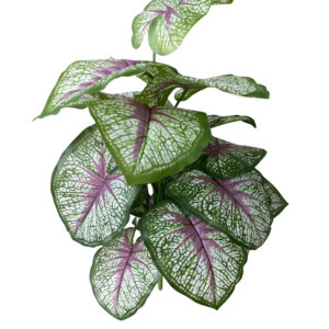 Decorative Artificial Mini Unpotted Green Plant for Stylish Spaces