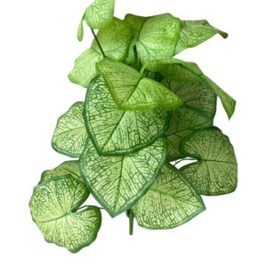 Mini greenery plant designed to enhance interior décor and setup